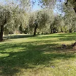 Gli Ulivi Di Maremma *