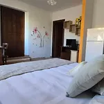 Gli Ulivi Di Maremma *
