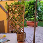 Gli Ulivi Di Maremma
