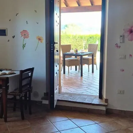 Gli Ulivi Di Maremma Gavorrano