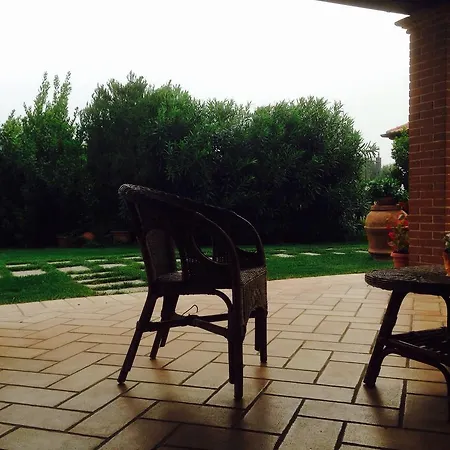 Gli Ulivi Di Maremma * Gavorrano