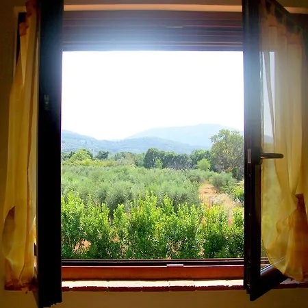 Gli Ulivi Di Maremma Gavorrano