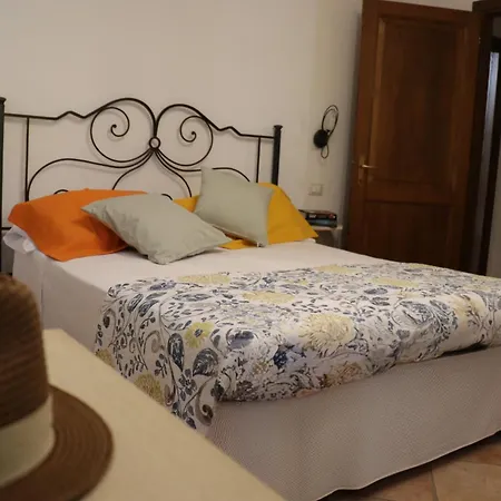 Gli Ulivi Di Maremma