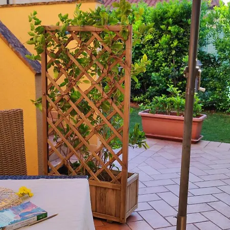 Gli Ulivi Di Maremma