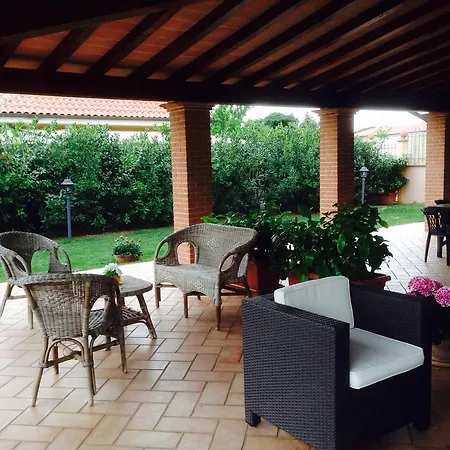 Gli Ulivi Di Maremma *