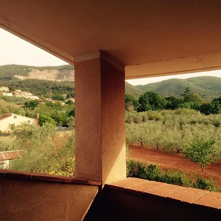 Gli Ulivi Di Maremma Apartment Gavorrano