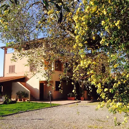 Apartment Gli Ulivi Di Maremma *
