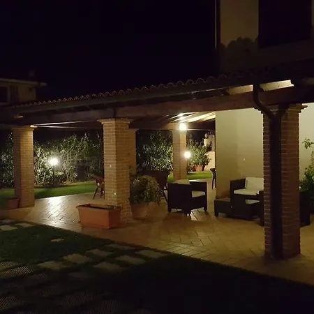 Gli Ulivi Di Maremma Gavorrano