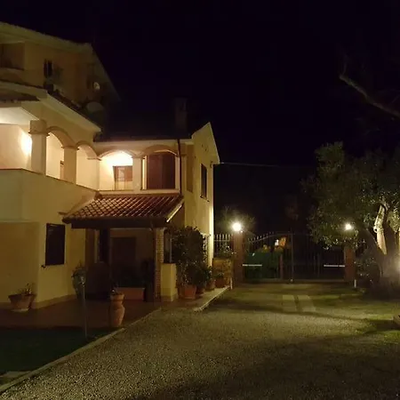 Gli Ulivi Di Maremma Gavorrano