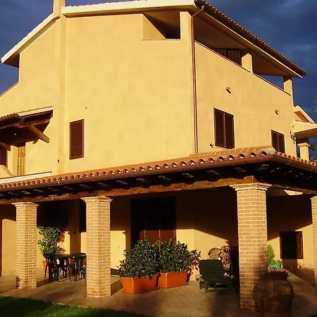 Gli Ulivi Di Maremma *